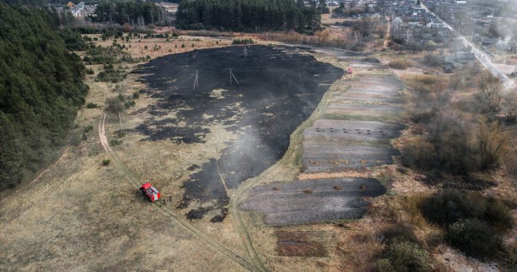 France : Incendies de forêts : les annonces du Gouvernement en matière de reconstruction et d’adaptation